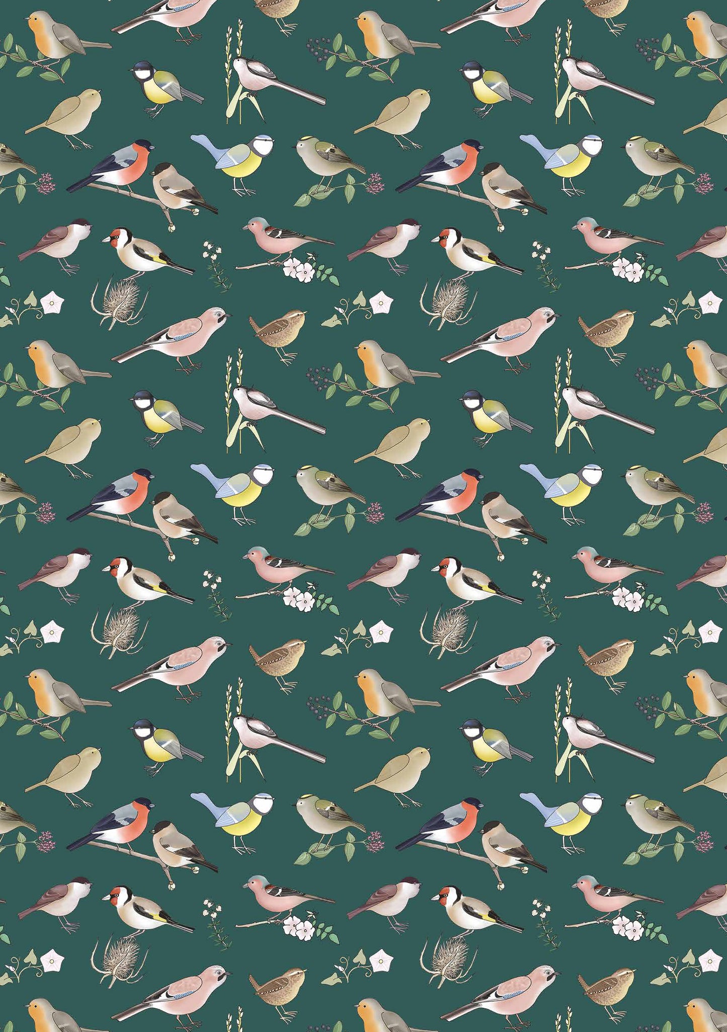 British Birds by Emma Lawrence A5 Notebook